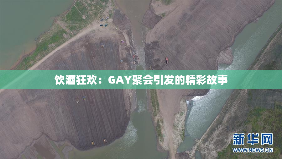 饮酒狂欢：GAY聚会引发的精彩故事