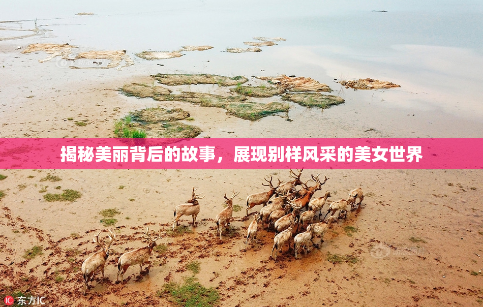 揭秘美丽背后的故事，展现别样风采的美女世界