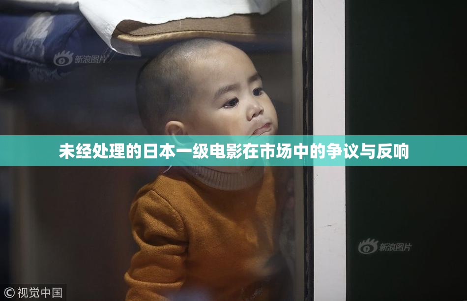 未经处理的日本一级电影在市场中的争议与反响