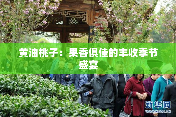 黄油桃子：果香俱佳的丰收季节盛宴