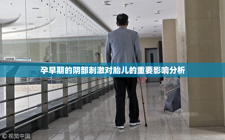 孕早期的阴部刺激对胎儿的重要影响分析
