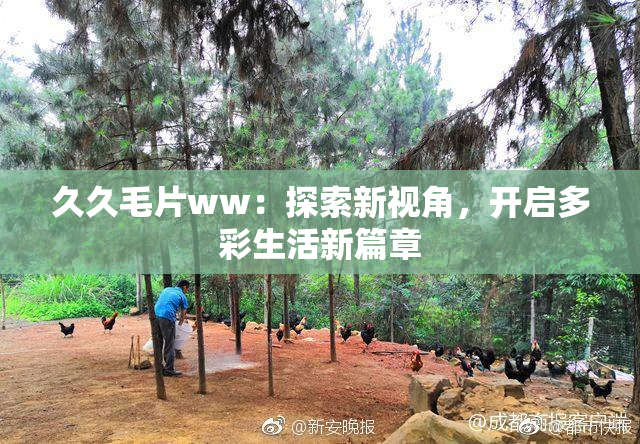 久久毛片ww：探索新视角，开启多彩生活新篇章