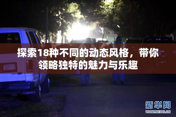 探索18种不同的动态风格，带你领略独特的魅力与乐趣