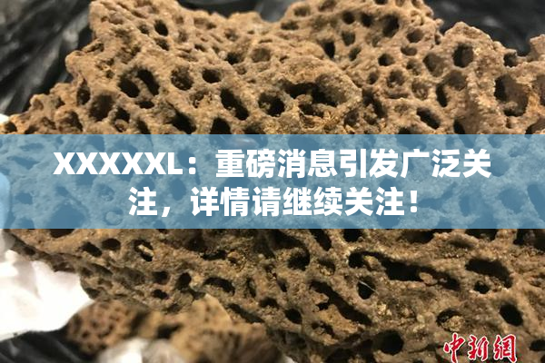 XXXXXL：重磅消息引发广泛关注，详情请继续关注！