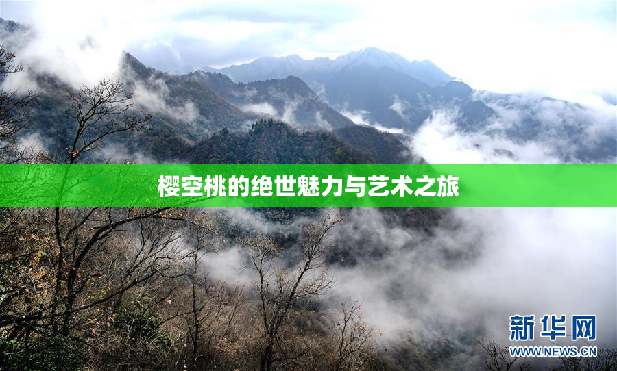 樱空桃的绝世魅力与艺术之旅