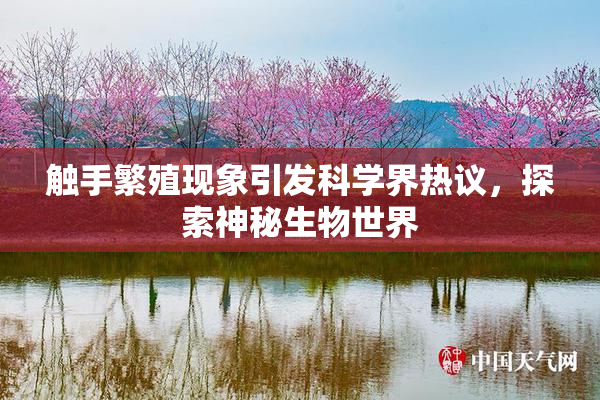 触手繁殖现象引发科学界热议，探索神秘生物世界