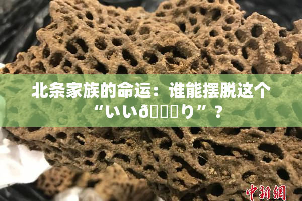 北条家族的命运：谁能摆脱这个“いい🍑り”？