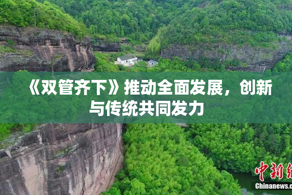 《双管齐下》推动全面发展，创新与传统共同发力