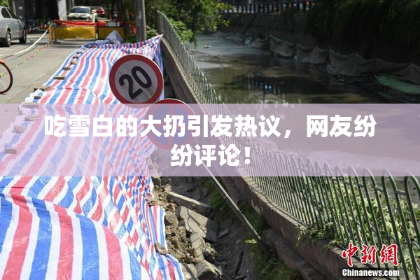 吃雪白的大扔引发热议，网友纷纷评论！