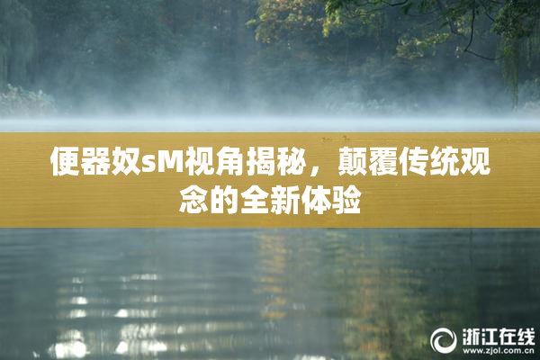 便器奴sM视角揭秘，颠覆传统观念的全新体验