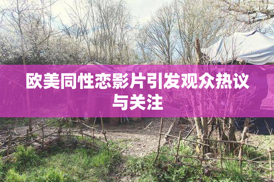 欧美同性恋影片引发观众热议与关注
