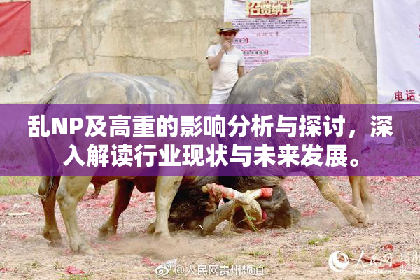 乱NP及高重的影响分析与探讨，深入解读行业现状与未来发展。
