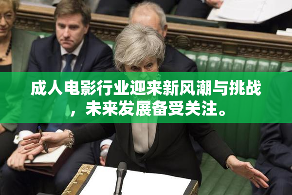 成人电影行业迎来新风潮与挑战，未来发展备受关注。