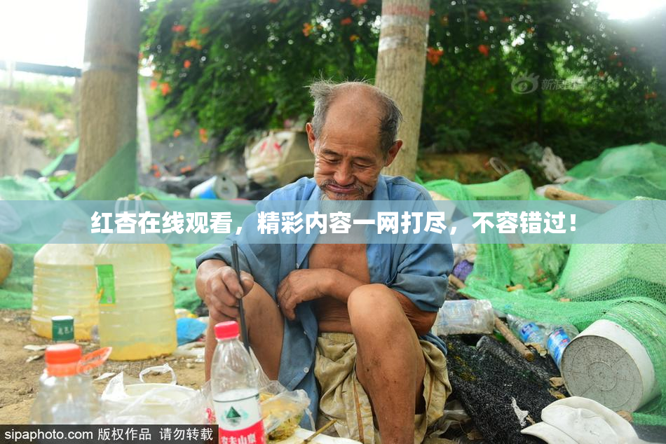 红杏在线观看，精彩内容一网打尽，不容错过！