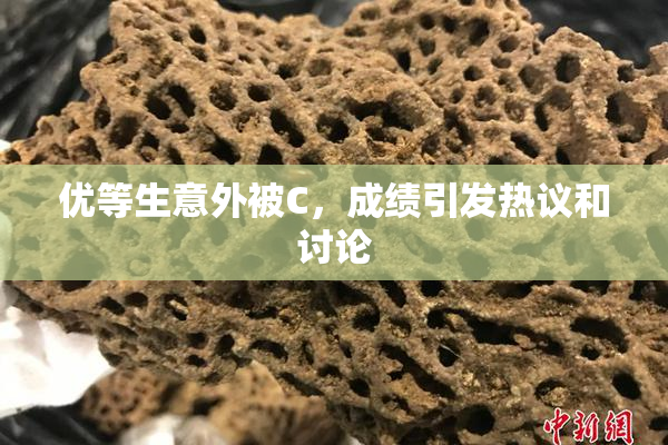 优等生意外被C，成绩引发热议和讨论