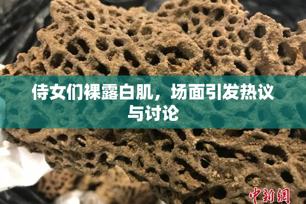 侍女们裸露白肌，场面引发热议与讨论