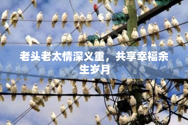 老头老太情深义重，共享幸福余生岁月