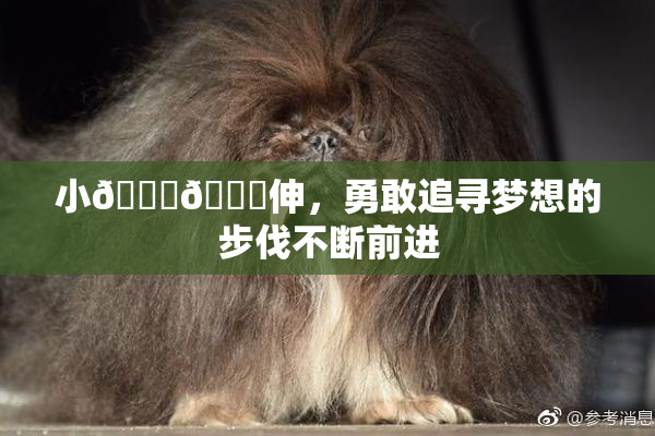 小🐔🐔伸，勇敢追寻梦想的步伐不断前进