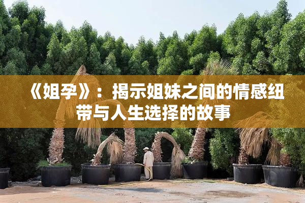 《姐孕》：揭示姐妹之间的情感纽带与人生选择的故事