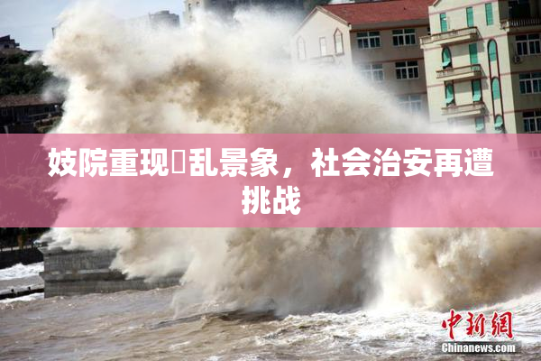 妓院重现婬乱景象，社会治安再遭挑战