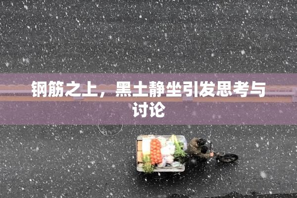钢筋之上，黑土静坐引发思考与讨论