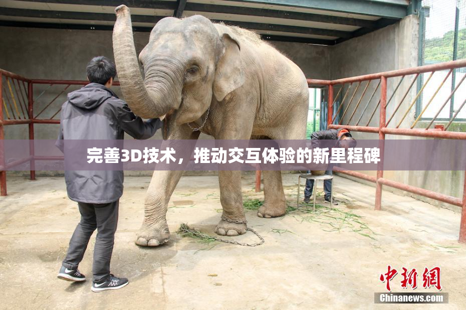 完善3D技术，推动交互体验的新里程碑