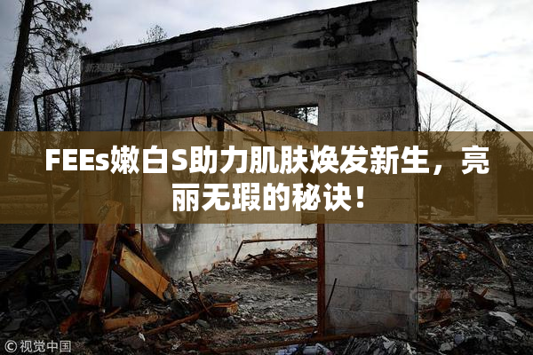 FEEs嫩白S助力肌肤焕发新生，亮丽无瑕的秘诀！