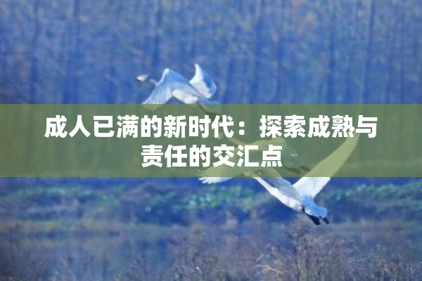 成人已满的新时代：探索成熟与责任的交汇点