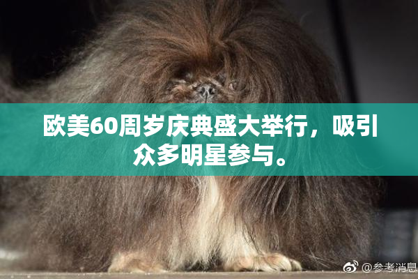 欧美60周岁庆典盛大举行，吸引众多明星参与。