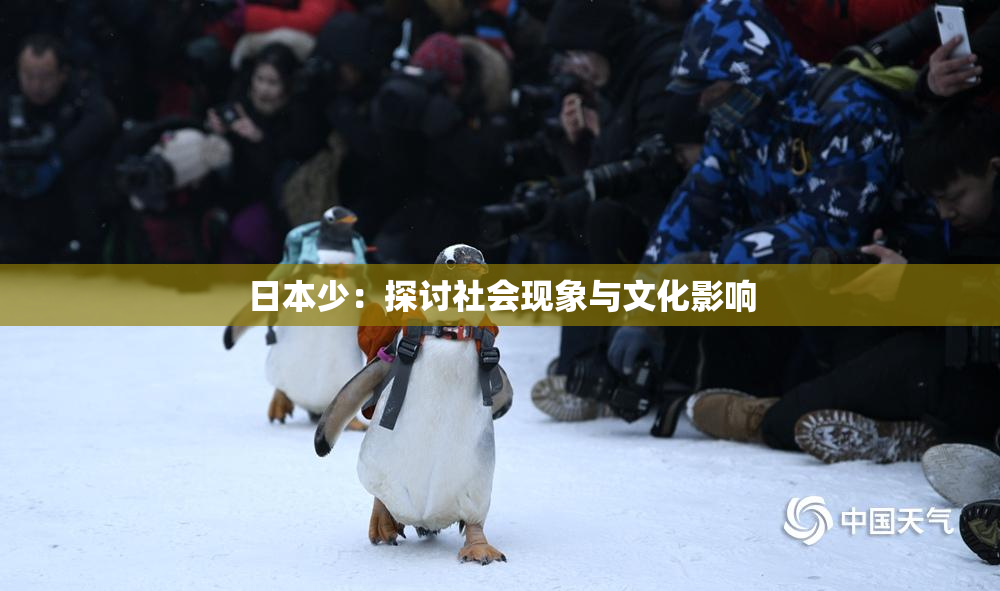 日本少：探讨社会现象与文化影响