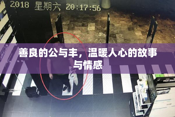 善良的公与丰，温暖人心的故事与情感