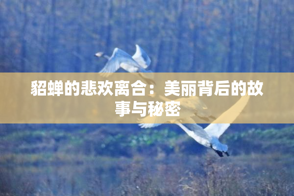 貂蝉的悲欢离合：美丽背后的故事与秘密