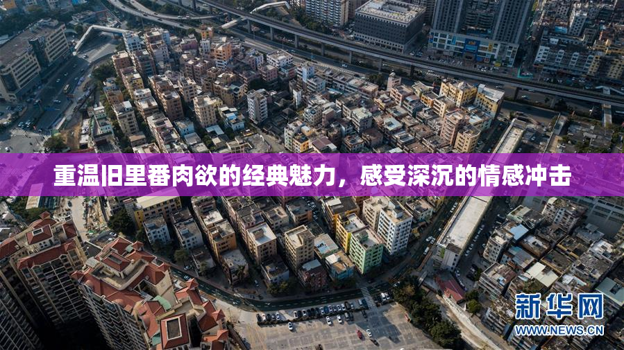 重温旧里番肉欲的经典魅力，感受深沉的情感冲击