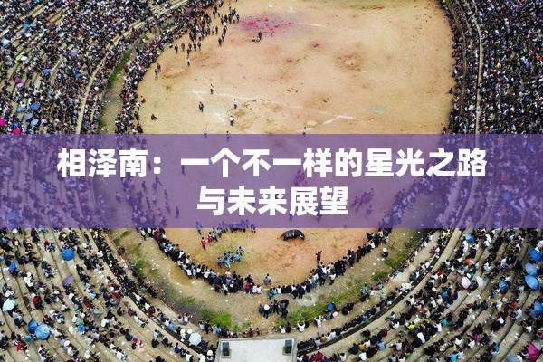 相泽南：一个不一样的星光之路与未来展望