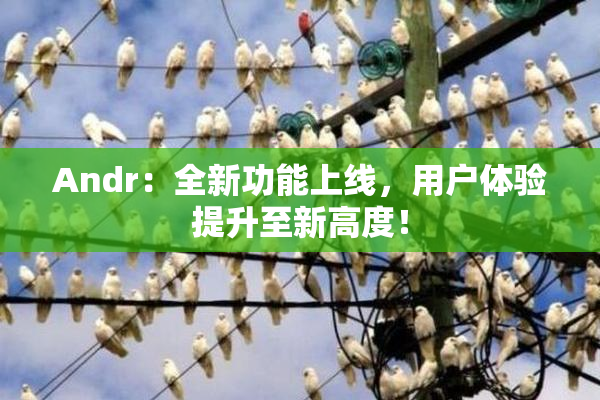 Andr：全新功能上线，用户体验提升至新高度！