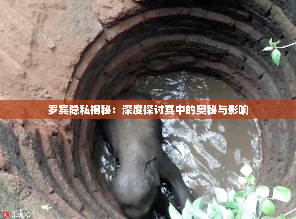 罗宾隐私揭秘：深度探讨其中的奥秘与影响