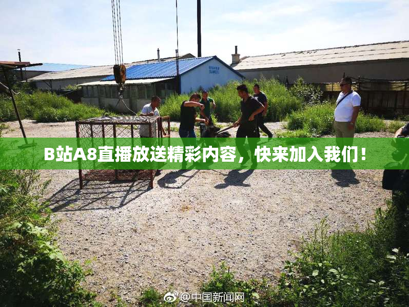 B站A8直播放送精彩内容，快来加入我们！