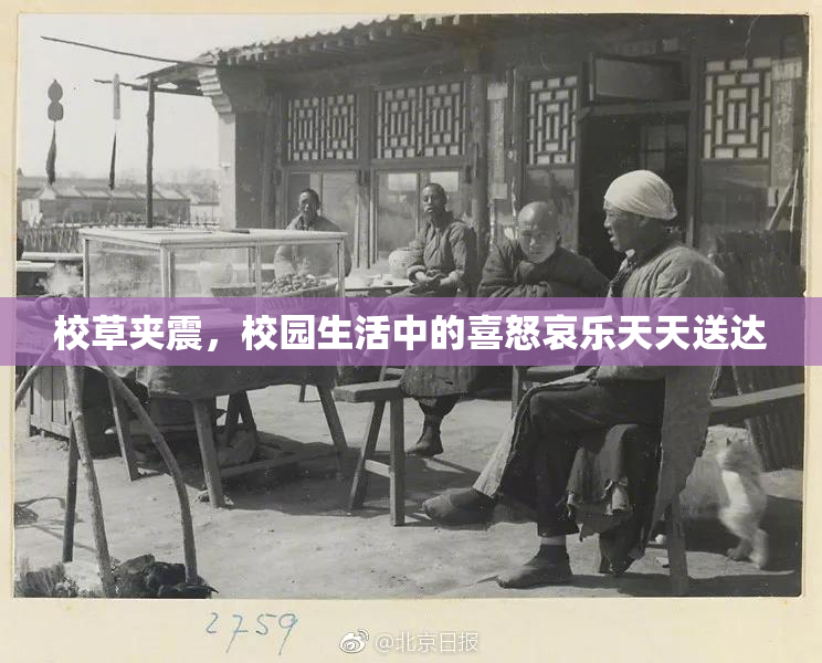 校草夹震，校园生活中的喜怒哀乐天天送达