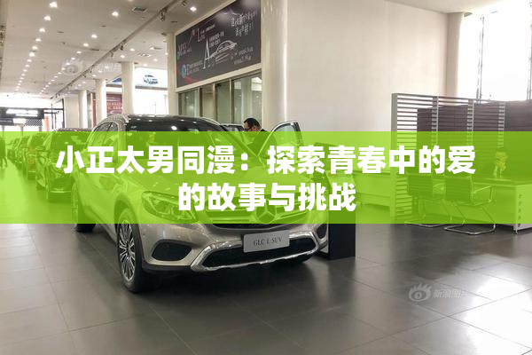 小正太男同漫：探索青春中的爱的故事与挑战