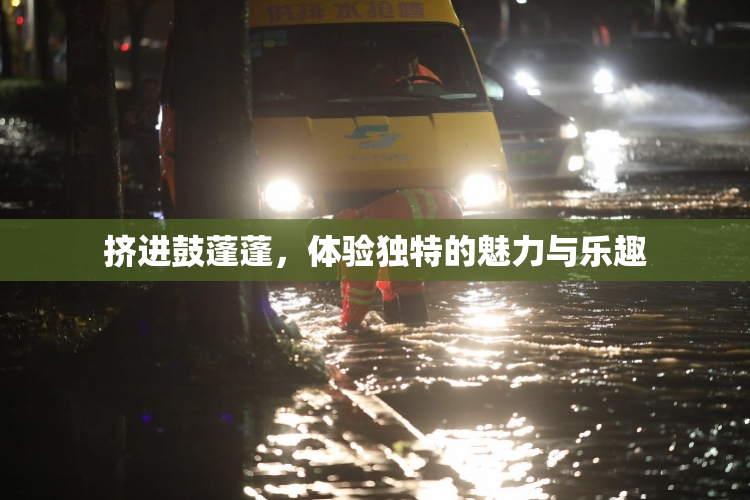 挤进鼓蓬蓬，体验独特的魅力与乐趣