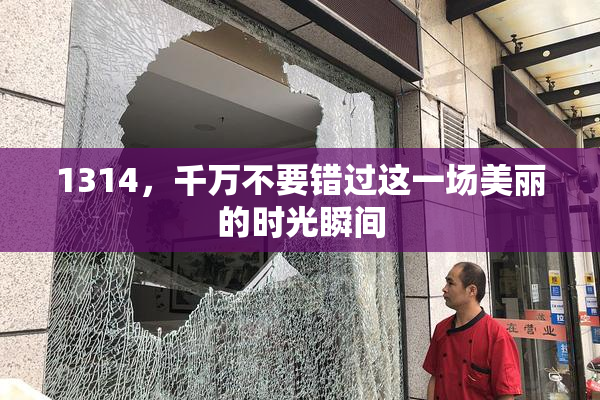 1314，千万不要错过这一场美丽的时光瞬间