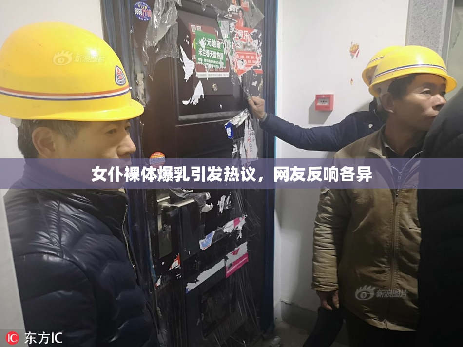 女仆裸体爆乳引发热议，网友反响各异
