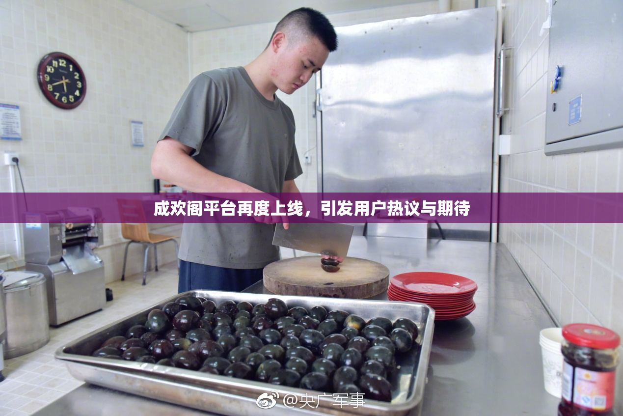 成欢阁平台再度上线，引发用户热议与期待