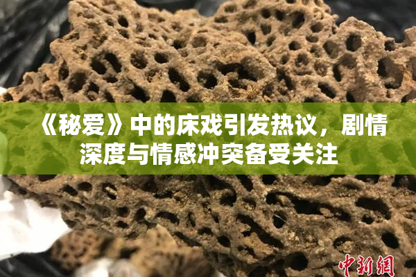 《秘爱》中的床戏引发热议，剧情深度与情感冲突备受关注