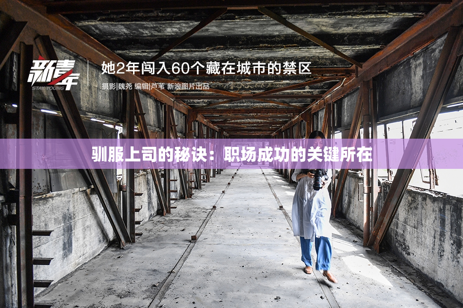 驯服上司的秘诀：职场成功的关键所在