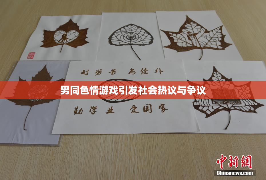 男同色情游戏引发社会热议与争议