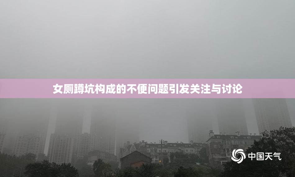 女厕蹲坑构成的不便问题引发关注与讨论