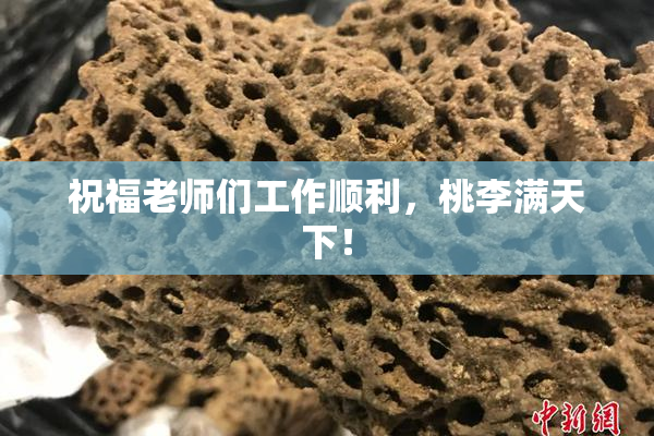 祝福老师们工作顺利，桃李满天下！