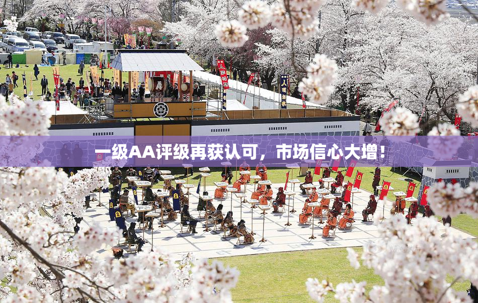 一级AA评级再获认可，市场信心大增！
