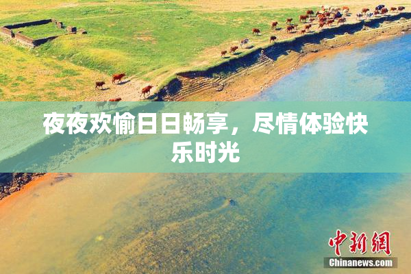 夜夜欢愉日日畅享，尽情体验快乐时光